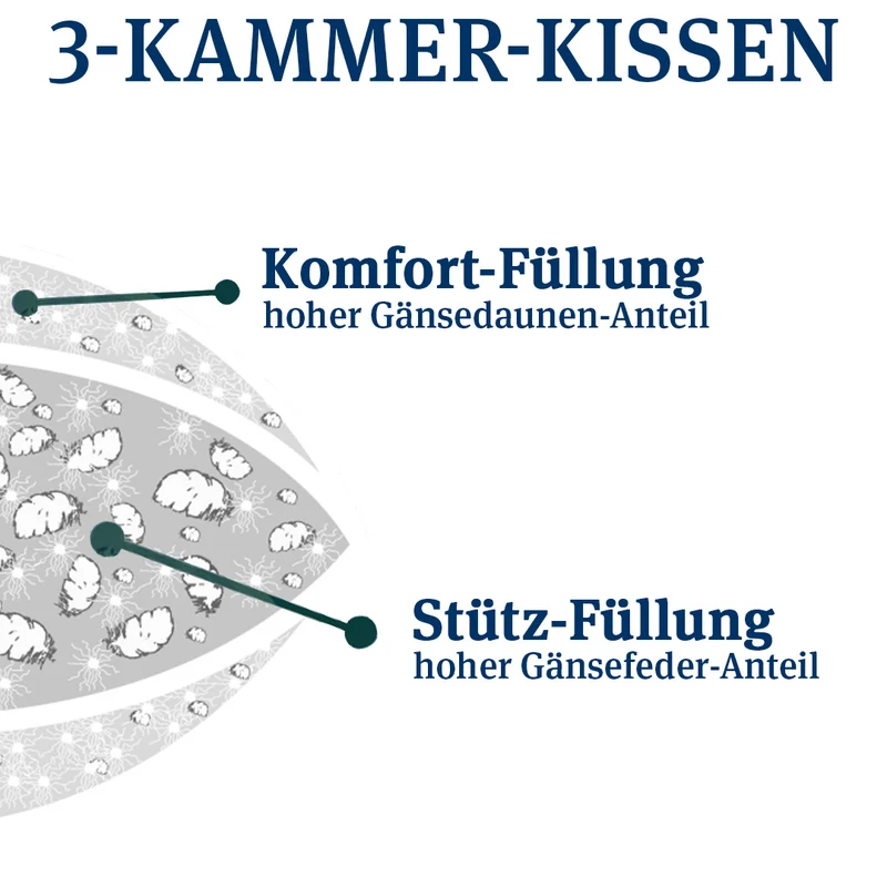 3-Kammer Daunenkissen · Abbie medium