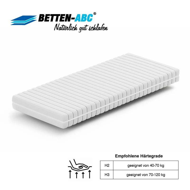Matratzenset: 80x200cm KSP-500 Matratze in H3 + Max1 NV Lattenrost