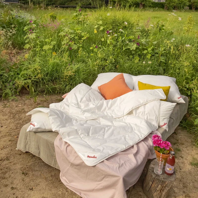 Prima · FASER · Sommerdecke