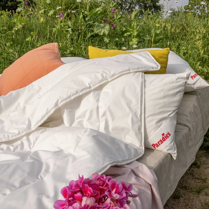 Prima · FASER · Sommerdecke