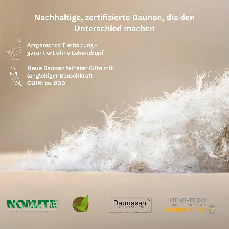Premium 3-Kammer Daunenkissen Typ Eiderdaune