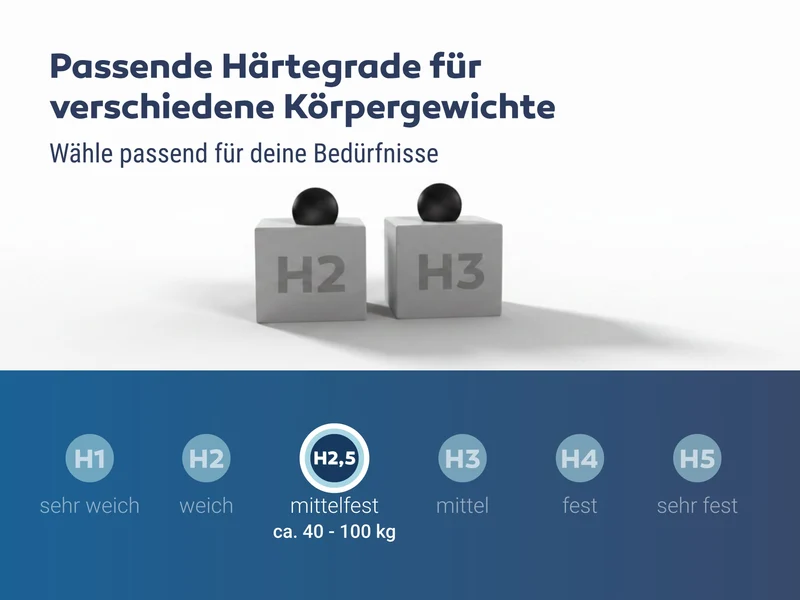 Betten-ABC Dream Spezial Sondermaß Kaltschaummatratze