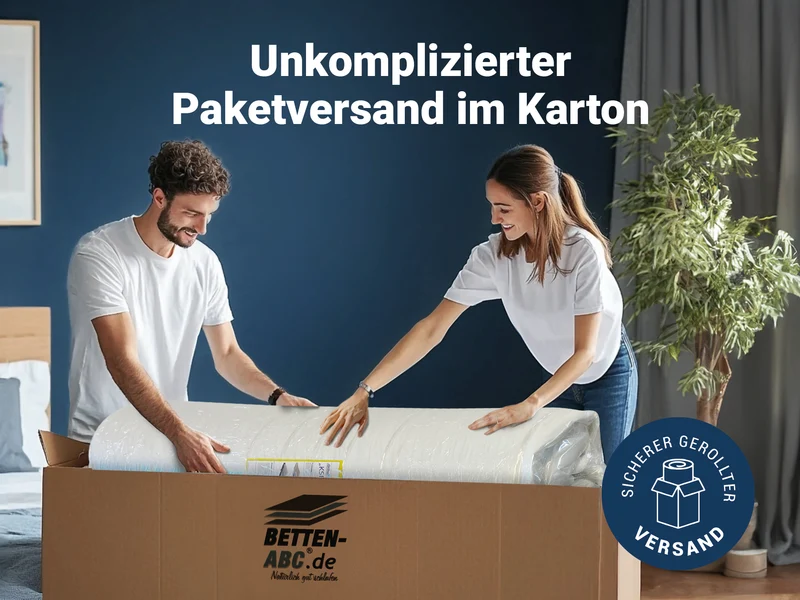 Betten-ABC Dream Spezial Sondermaß Kaltschaummatratze