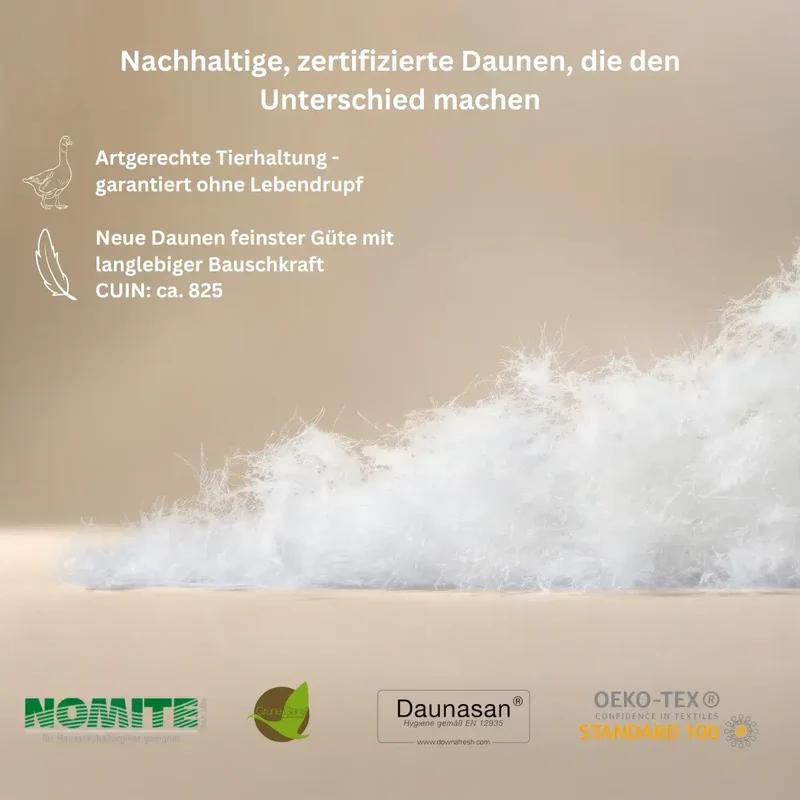 Pure 3-Kammer Gänse-Daunenkissen