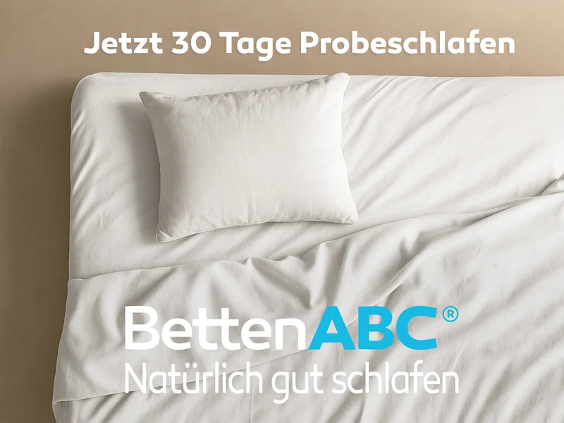 Betten-ABC Superflex Elektro Lattenrost