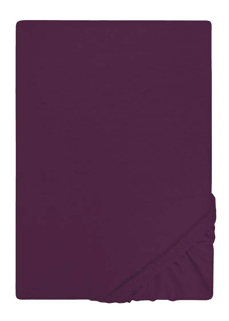 Castell Jersey-Stretch Spannbetttuch (0077113)