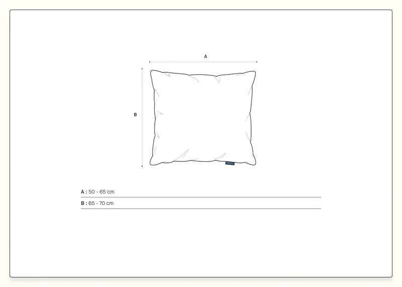 Oreiller en plumes et duvet