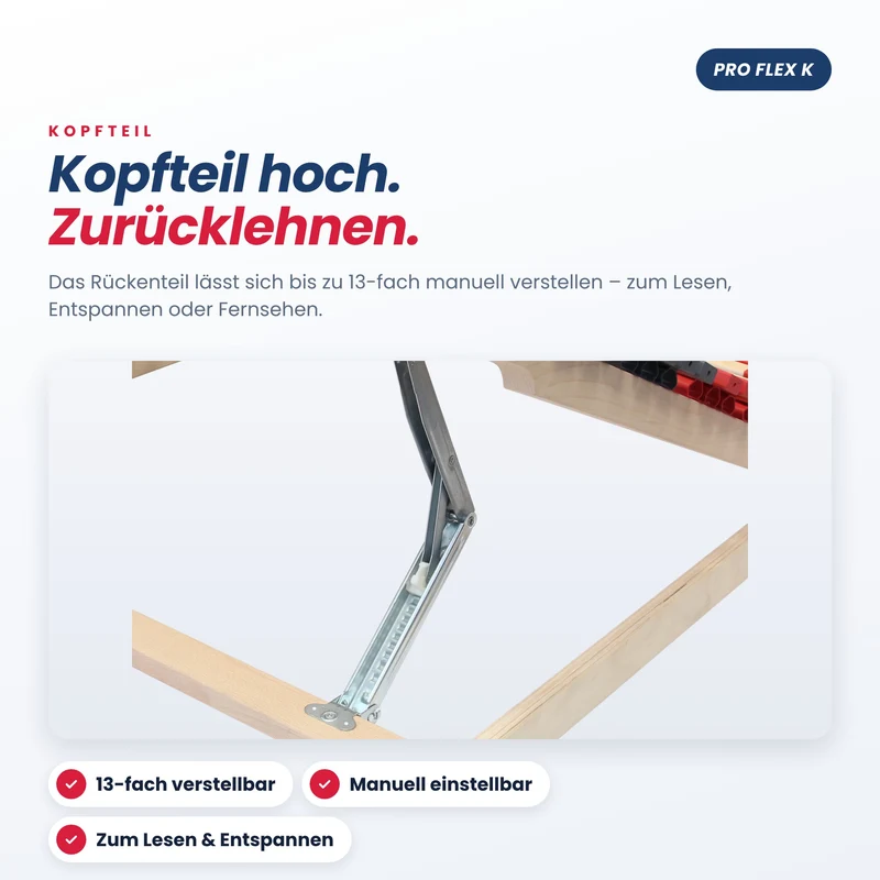 BeSports Pro Flex K, 42 Leisten, Kopfteil verstellbar