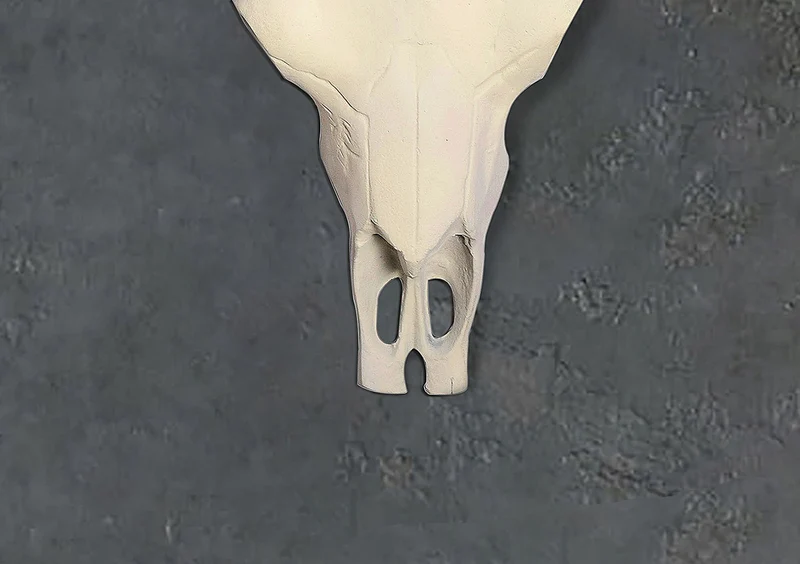 Deko Geweih Büffel-Schädel 55,5cm Aluminium Weiß Modern Wanddeko