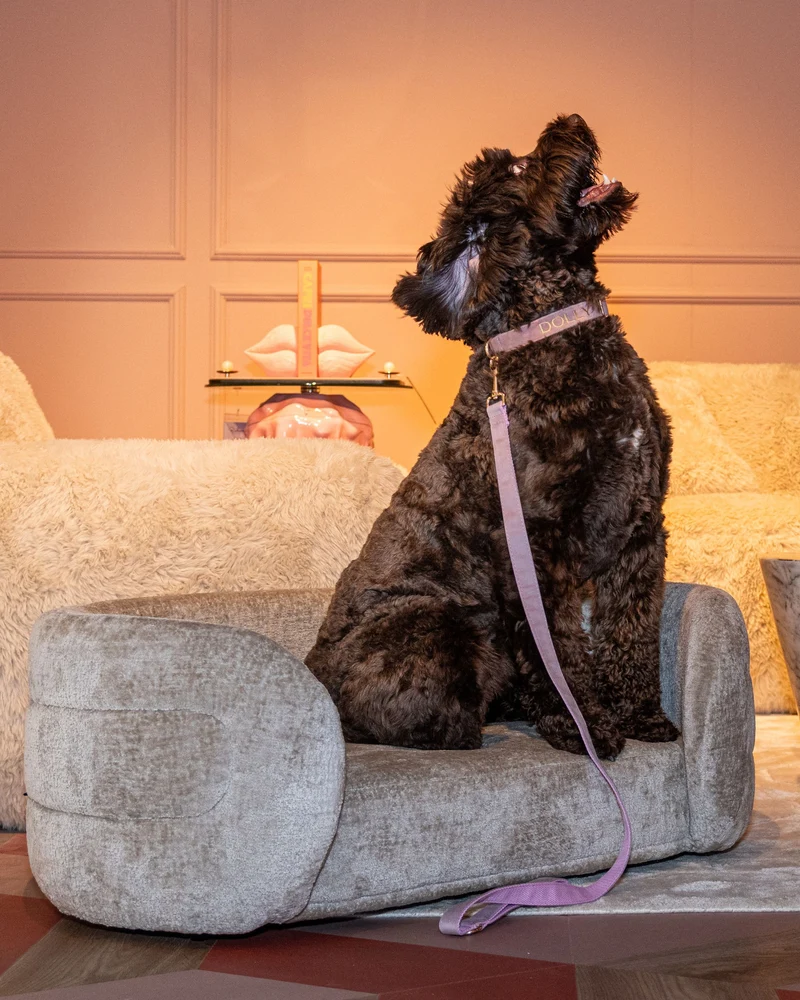 Hundebett Bingo Richmond in Clay Chenille – kuschelig & elegant