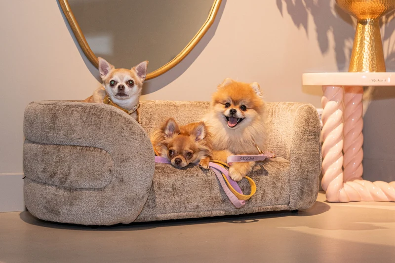 Hundebett Bingo Taupe Chenille – kuscheliger Rückzugsort für Hunde