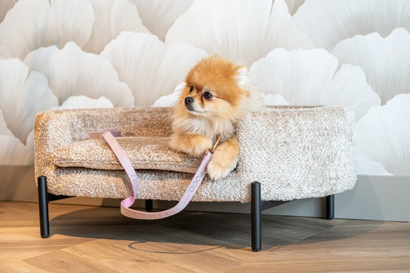 Richmond Hundebett Dolly sheep natural – kuscheliges Haustierbett, 84
