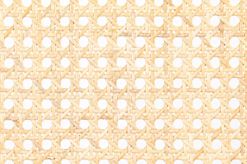 Esszimmerstuhl Spike Natural/Pink aus Rattan mit Stahlgestell Zuiver