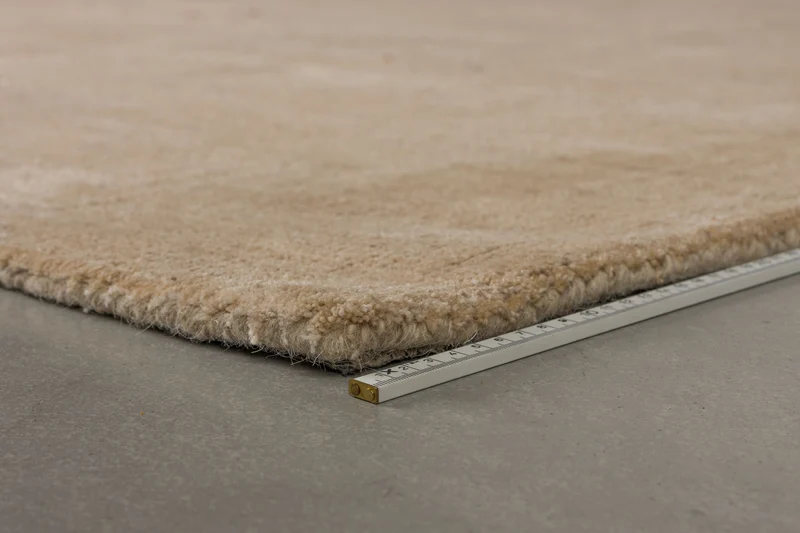 Teppich Maryland 200x300 Beige mit Jutesohle im Boho-Stil, Dutchbone