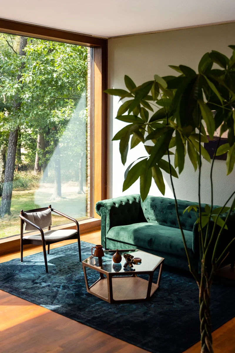 Couchtisch Sita im Vintage-Design mit Glasplatte und Nussbaumfurnier