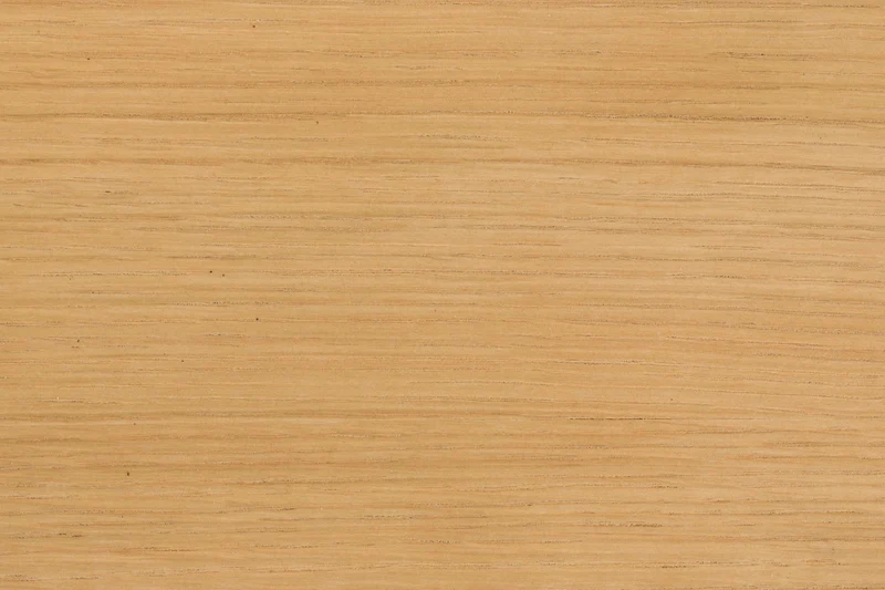 Esszimmerstuhl Northwood aus Eiche | Japanisches Design von Zuiver