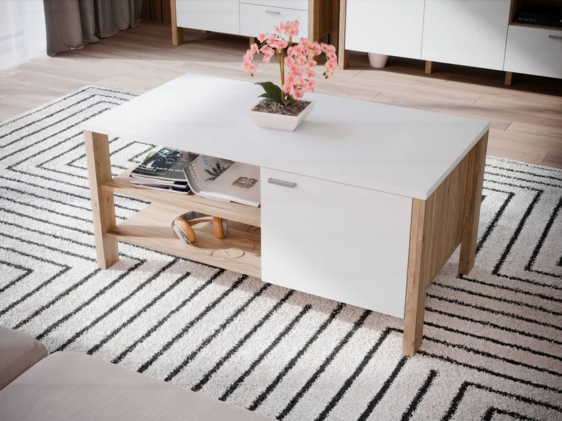 Couchtisch SAITAMA mit 2 Türen Mauvella Eiche / Secret Grey