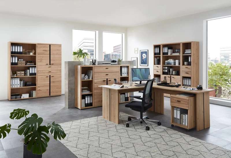 Büroschrank SONOS HU12 Front Altesche Massivholz gebürstet