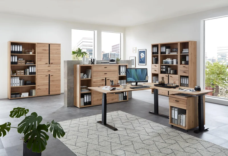 Büroschrank SONOS HU03 Front Altesche Massivholz gebürstet