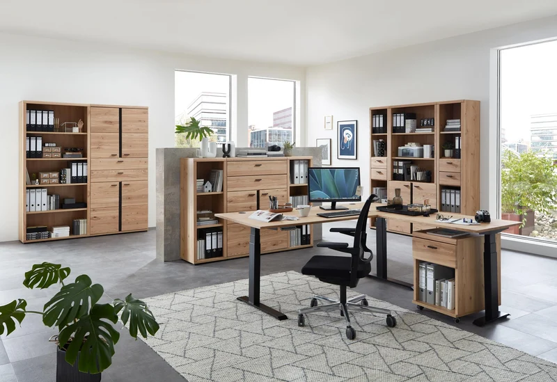 Büroschrank SONOS HU02 Front Altesche Massivholz gebürstet