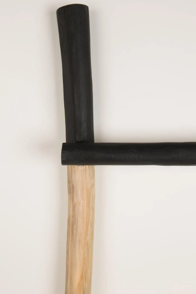 Multitalent Ladder Rack HARRY Leiter aus Teak