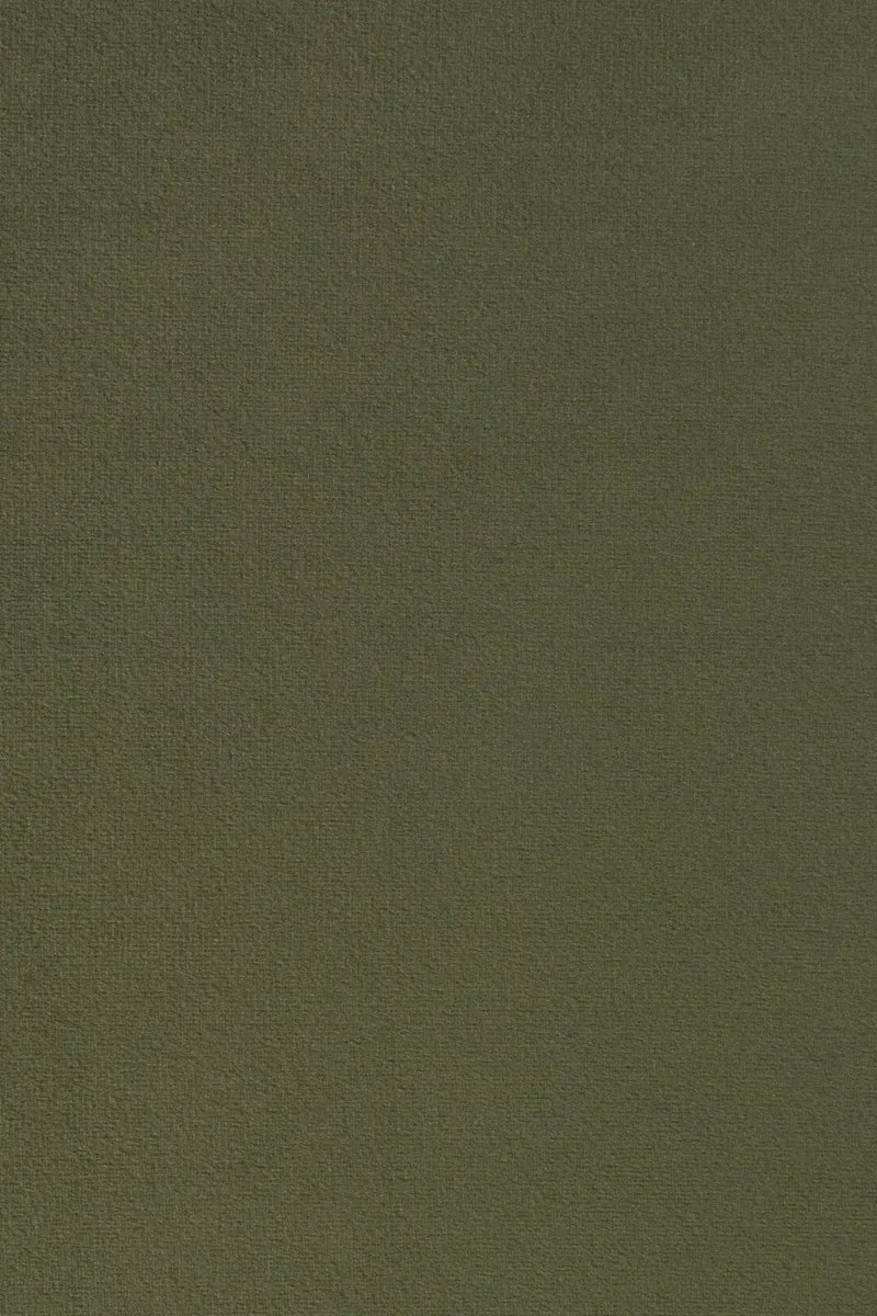 Armlehnstuhl HAILY Samt Grün Esszimmerstuhl von DUTCHBONE
