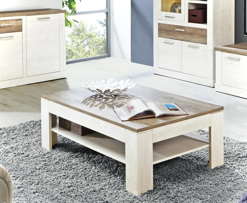 Couchtisch DURO 120 x 75 cm Optik Pinie weiß / Eiche antik